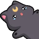 DI_b_catcry_DNS