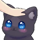 DI_b_catheadpat_DNS