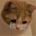 :crycat: