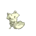 partyfox