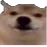 okaybro