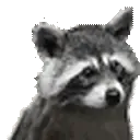 rareRac
