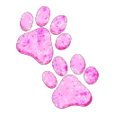 iii