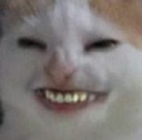 TT_catsmile Discord emoji