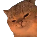 emoji_249