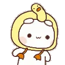 Cuteduckbop