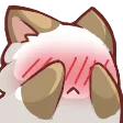 shy_cat2