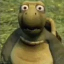 shockedturtle