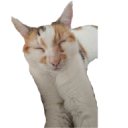 brenda2 Discord Emoji | Nocturnal 18