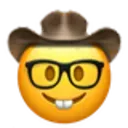 face_cowboy_nerd