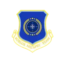 NATO_Badge