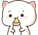 cute