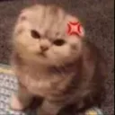 ctm_