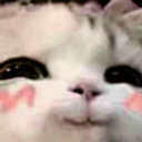 :frost_cuteee: