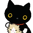blackcat