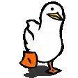 duck