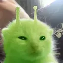 catalien