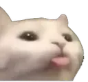 catblep
