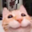 catowo