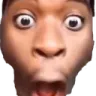 geminipog