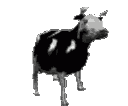 :polishcowdance: