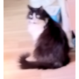 Shadow_SideEye custom emote - ƤŞ¥ĆĦ'Ş ĆØŽ¥ ŇØØҜ