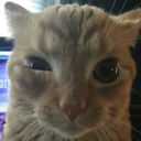 emoji_35 custom emote | vanilla's server :P