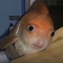 emoji_37 Discord Emoji - vanilla's server :P