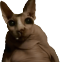 creepcat Discord sticker from Nocturnal 18
