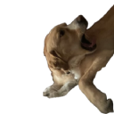 aleka Discord sticker from Nocturnal 18