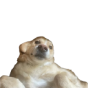 aleka2 Discord Emoji from Nocturnal 18