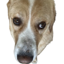 aleka3 Discord sticker - Nocturnal 18