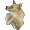 aleka4 Discord sticker - Nocturnal 18