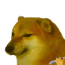 doge_sutta