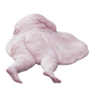 :fatguy: