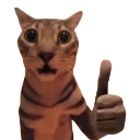 :catthumbsup: