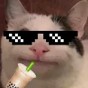 Kevin_the_Cat