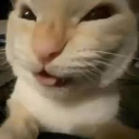 xdd Discord emoji