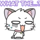 what_the___