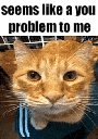:62828youproblem: