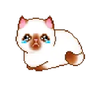 cri