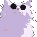 :gojocat: