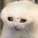 emoji_1 Discord Emoji - Femboy Cove