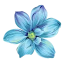 icon_flower