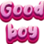 GoodBoy