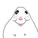 Happy_hamster
