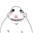 Bite_lip_hamster