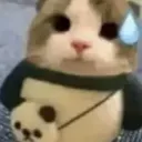 uhmwelp