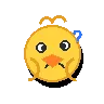 duckconfused