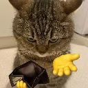Giveme